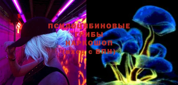 бошки Абаза