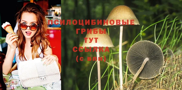 бошки Абаза