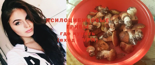 бошки Абаза