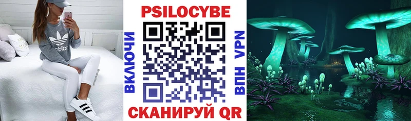 где найти   Шарья  Псилоцибиновые грибы мицелий 