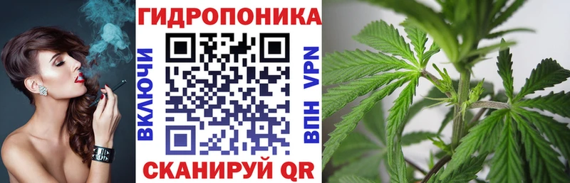 наркота  ОМГ ОМГ зеркало  Канабис VHQ  Шарья 